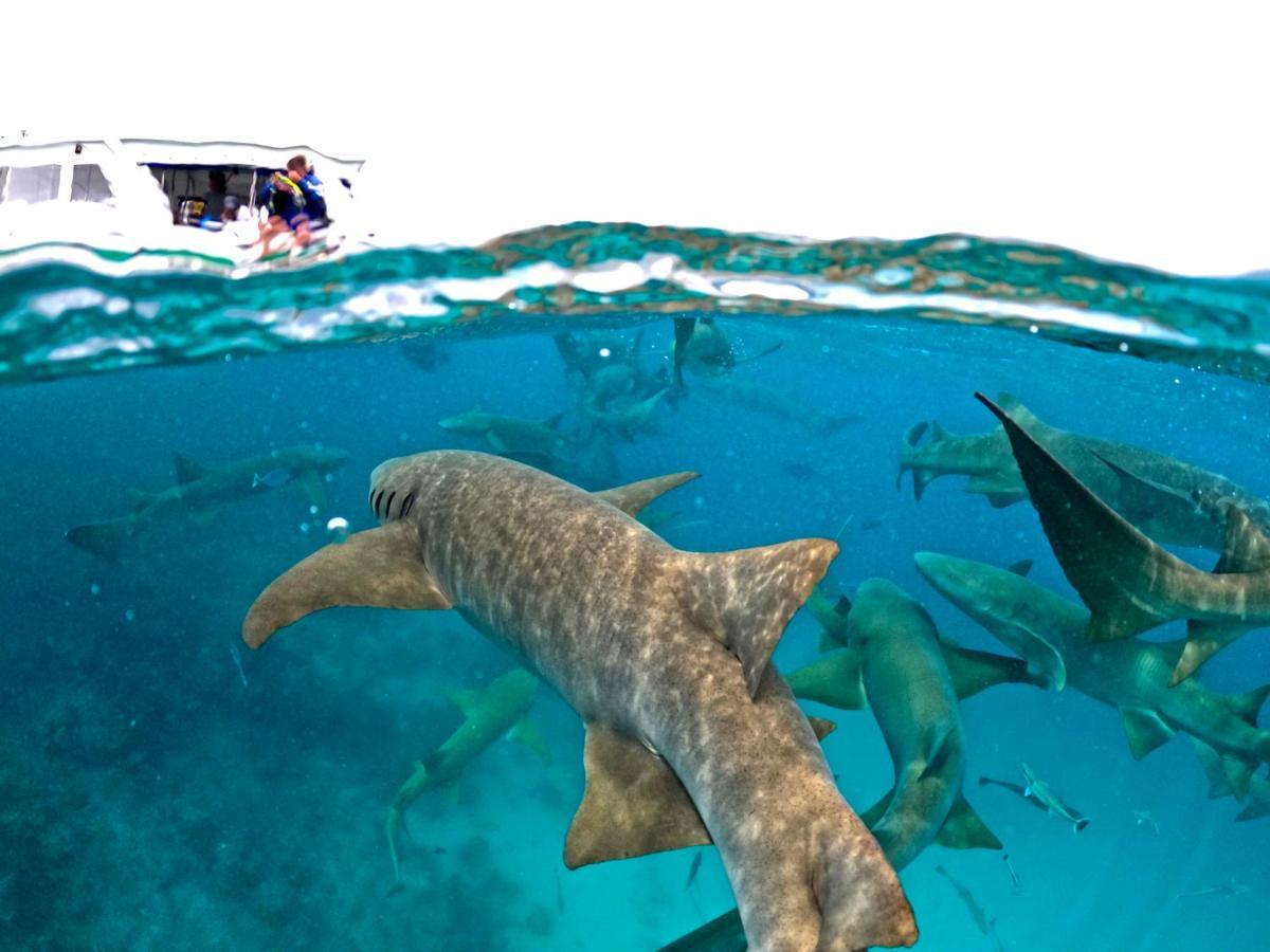 Adroit Beach Inn Guraidhoo  Kültér fotó