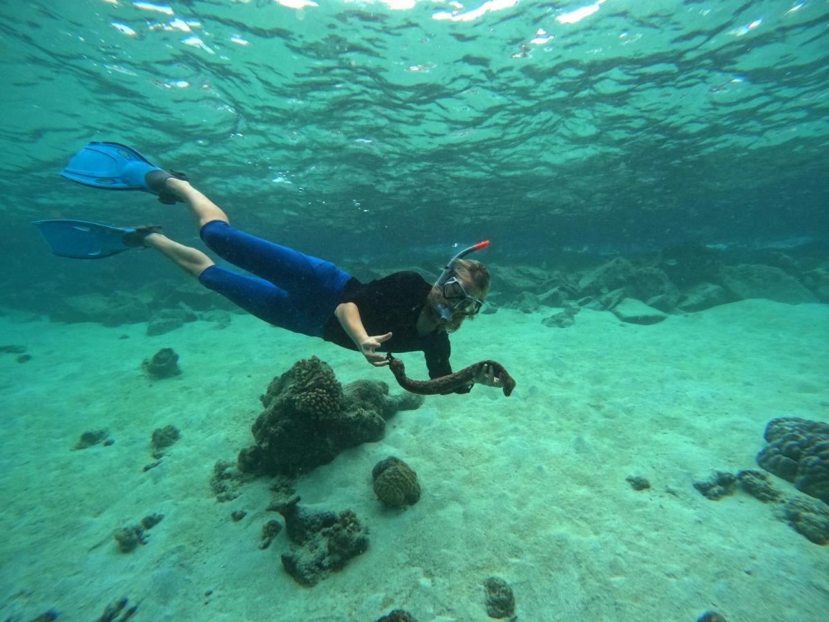 Adroit Beach Inn Guraidhoo  Kültér fotó