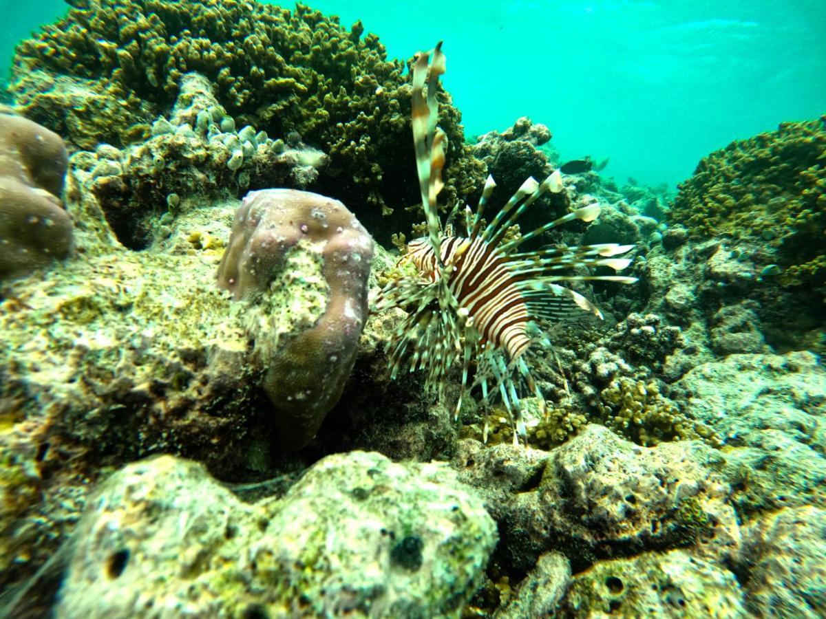 Adroit Beach Inn Guraidhoo  Kültér fotó